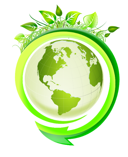 What is the service in the field of ecology Waste sector?